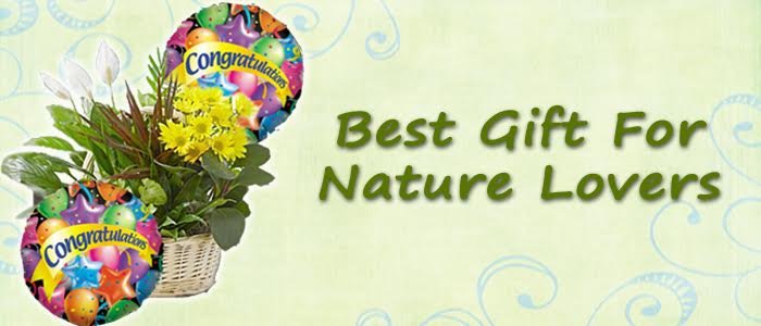 Balloon Bouquets With Fresh Plants - Best Gift For Nature Lovers