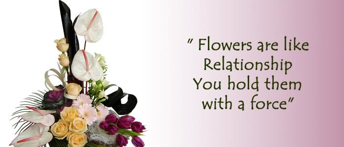 Grab the Best Tropical Flowers in Romania to Uplift Her Mood