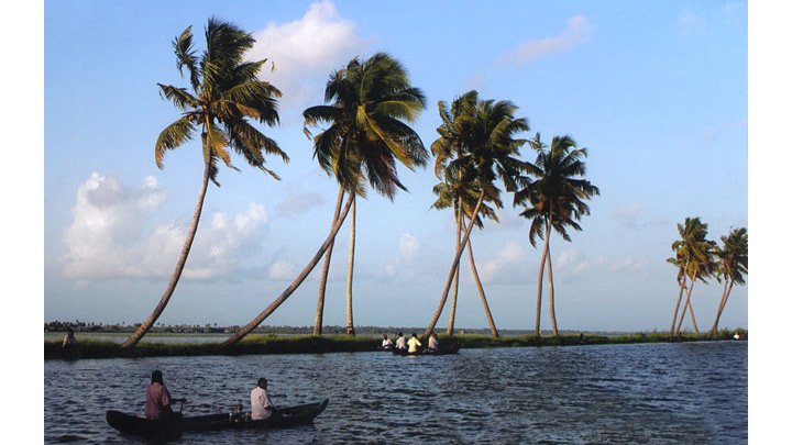 Nature Beauty of Kerala Backwaters