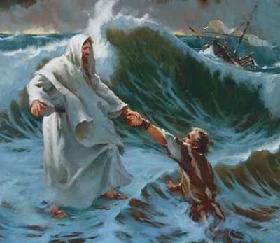 WHAT ARE YOU SEEING?