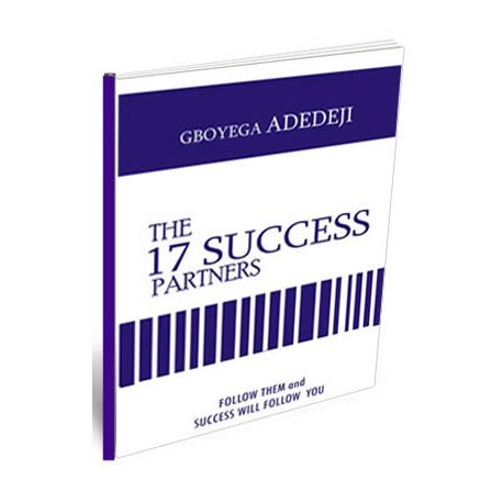 The 17 Success Partners by Gboyega Adedeji